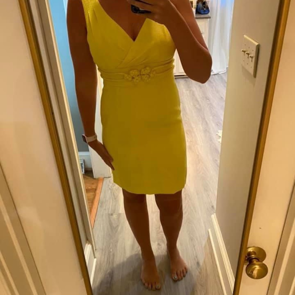 Antonio Melani dress size 6